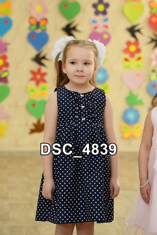 DSC4839